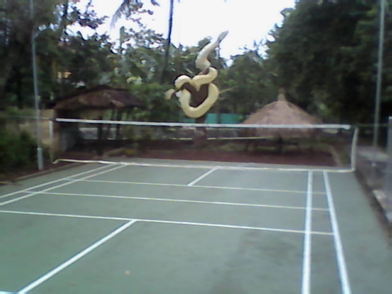 Taman Ular Cilauk