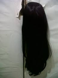 Sosok Rambut Panjang
